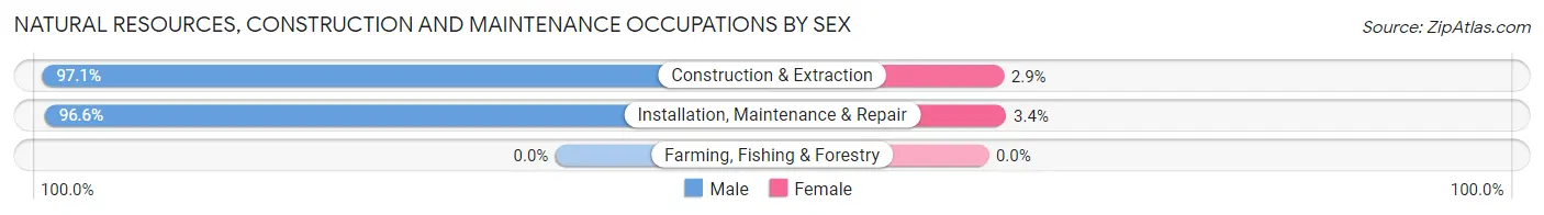 Natural Resources, Construction and Maintenance Occupations by Sex in Zip Code 08759