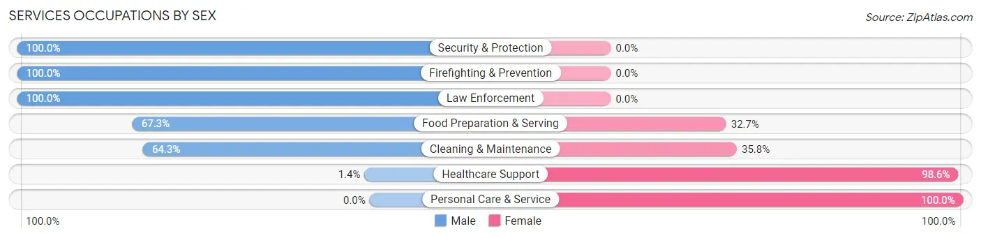 Services Occupations by Sex in Zip Code 08904
