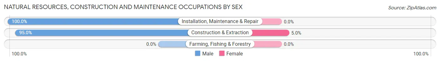 Natural Resources, Construction and Maintenance Occupations by Sex in Zip Code 10009
