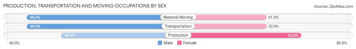 Production, Transportation and Moving Occupations by Sex in Zip Code 10009
