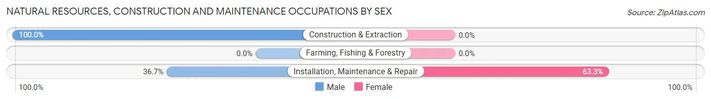 Natural Resources, Construction and Maintenance Occupations by Sex in Zip Code 10019