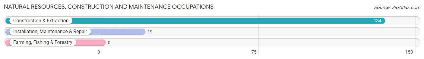 Natural Resources, Construction and Maintenance Occupations in Zip Code 10021