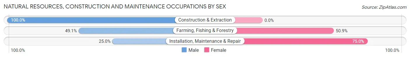 Natural Resources, Construction and Maintenance Occupations by Sex in Zip Code 10037