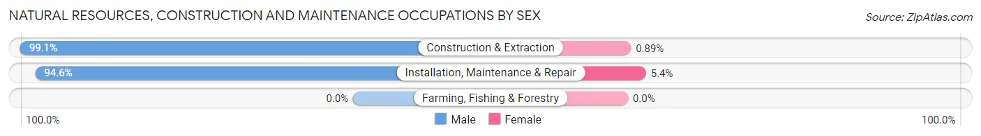 Natural Resources, Construction and Maintenance Occupations by Sex in Zip Code 10040