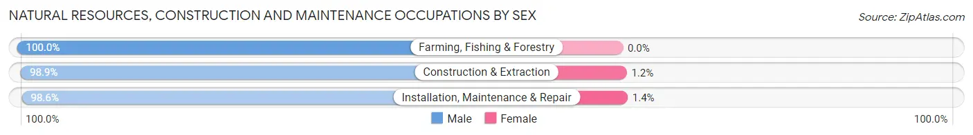 Natural Resources, Construction and Maintenance Occupations by Sex in Zip Code 10305