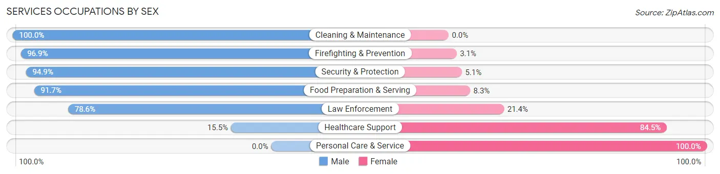 Services Occupations by Sex in Zip Code 10307