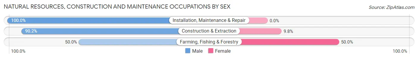 Natural Resources, Construction and Maintenance Occupations by Sex in Zip Code 10452