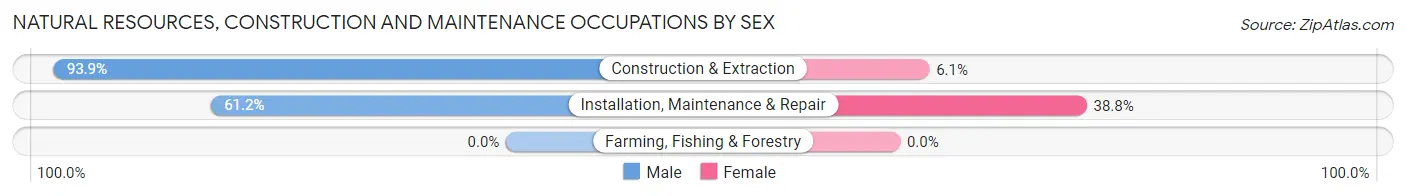 Natural Resources, Construction and Maintenance Occupations by Sex in Zip Code 10454