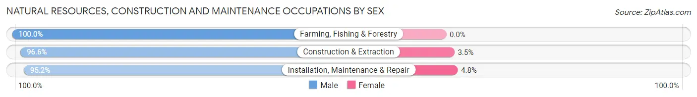 Natural Resources, Construction and Maintenance Occupations by Sex in Zip Code 10455