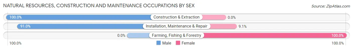 Natural Resources, Construction and Maintenance Occupations by Sex in Zip Code 10468