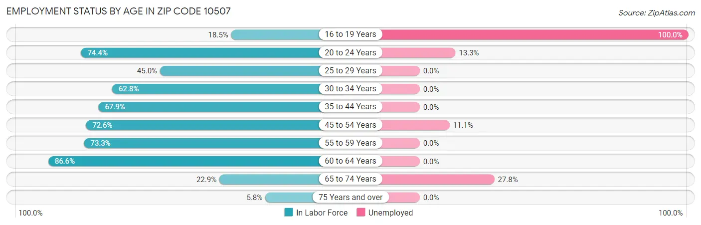 Employment Status by Age in Zip Code 10507