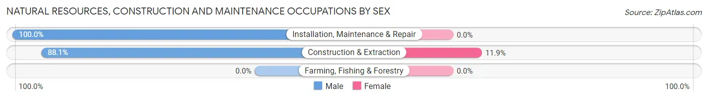 Natural Resources, Construction and Maintenance Occupations by Sex in Zip Code 10511