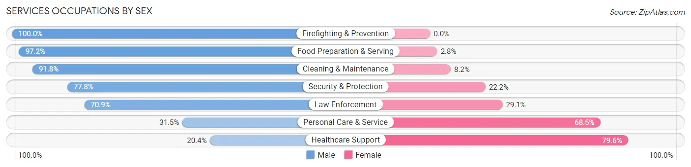 Services Occupations by Sex in Zip Code 10523