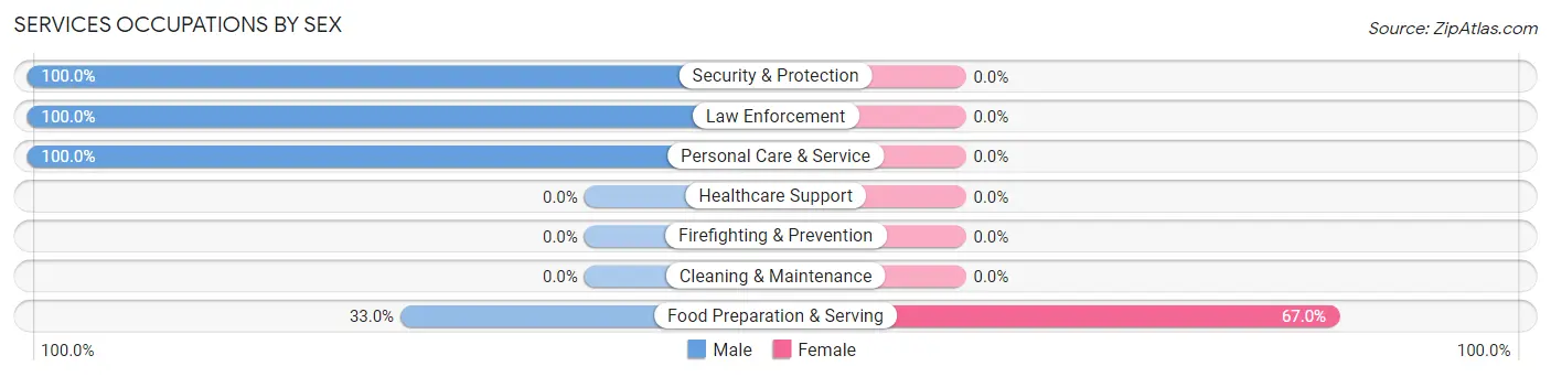 Services Occupations by Sex in Zip Code 10527