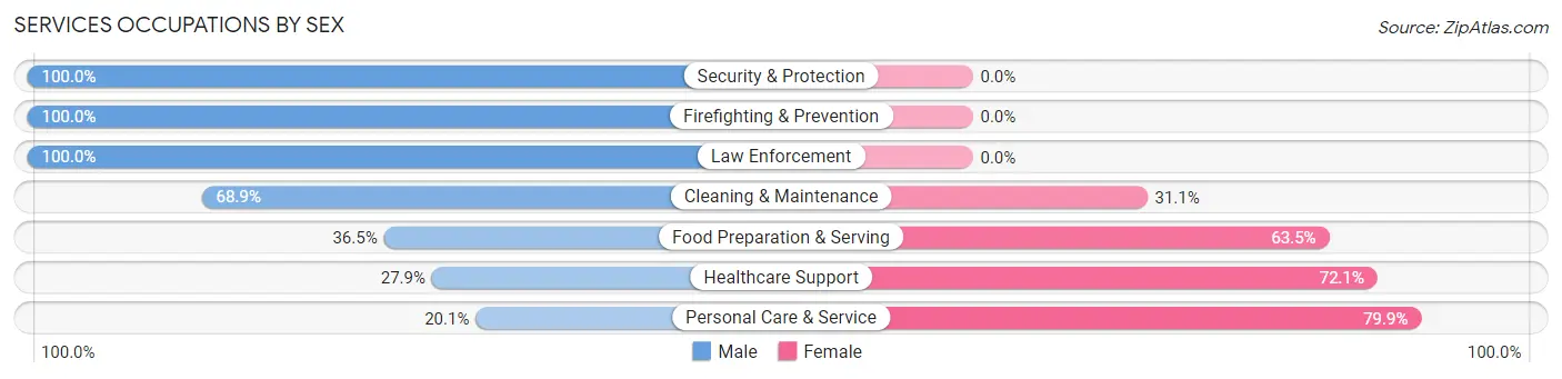 Services Occupations by Sex in Zip Code 10528