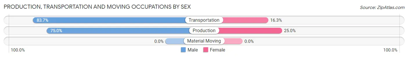 Production, Transportation and Moving Occupations by Sex in Zip Code 10533