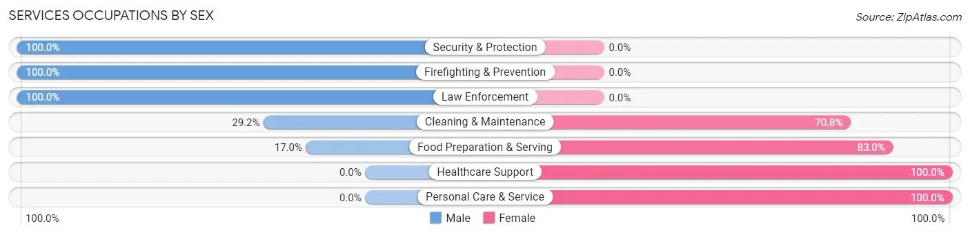 Services Occupations by Sex in Zip Code 10533