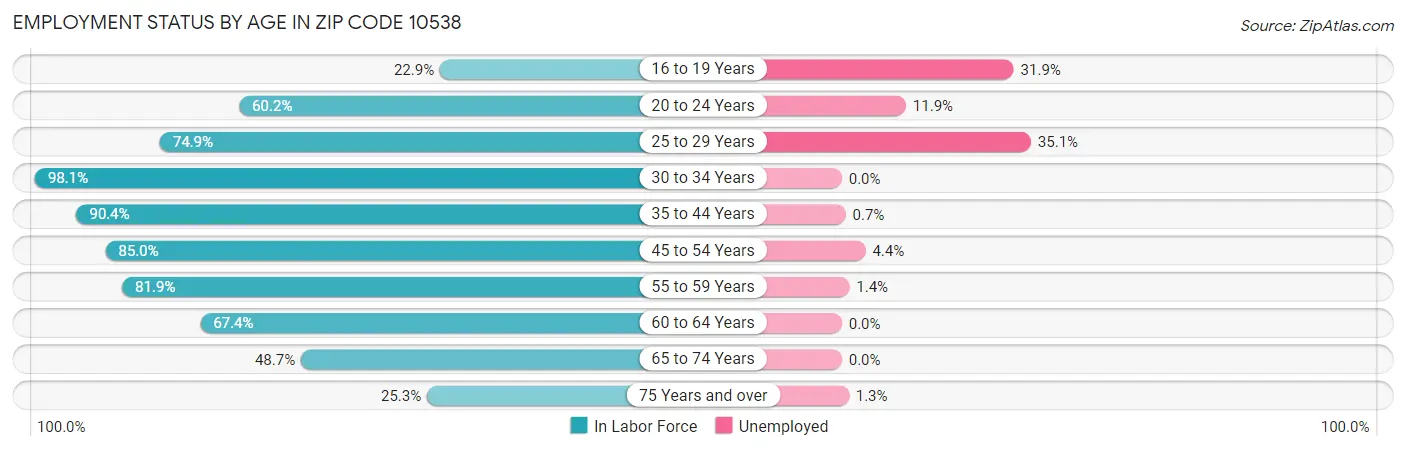 Employment Status by Age in Zip Code 10538