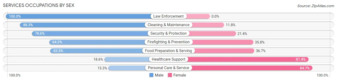 Services Occupations by Sex in Zip Code 10541
