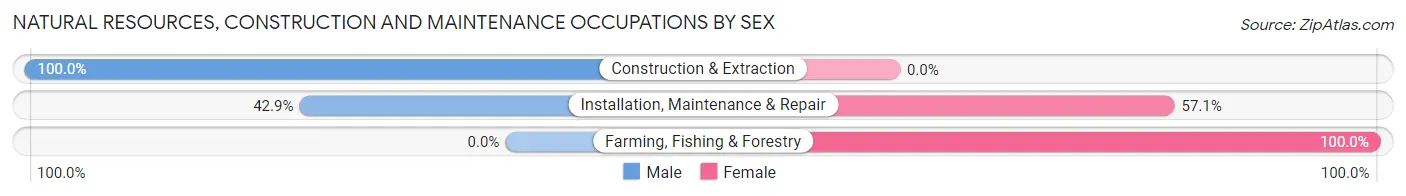 Natural Resources, Construction and Maintenance Occupations by Sex in Zip Code 10590