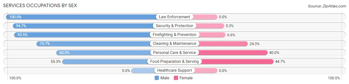 Services Occupations by Sex in Zip Code 10594