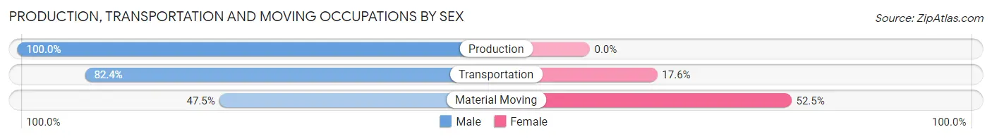 Production, Transportation and Moving Occupations by Sex in Zip Code 10707
