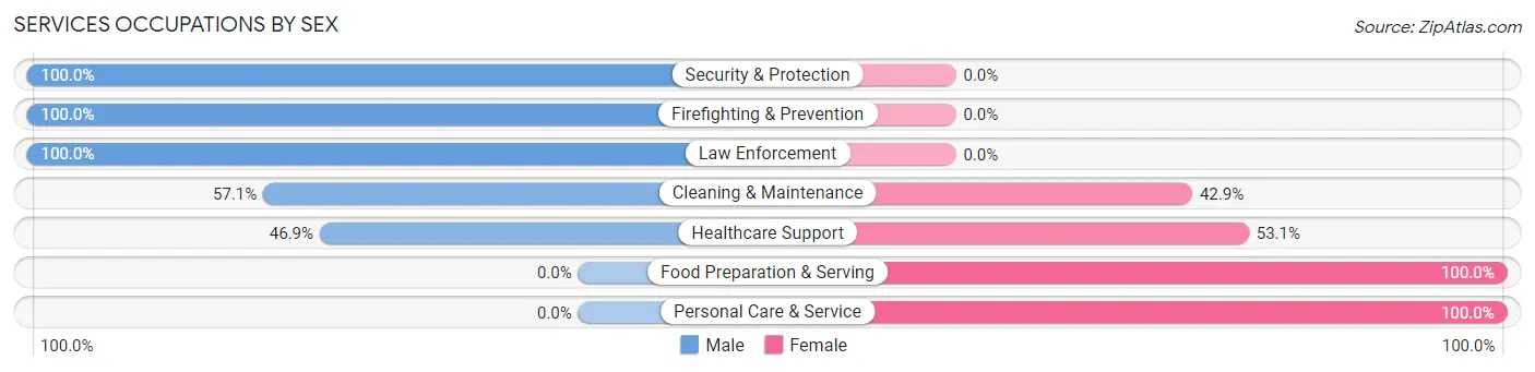 Services Occupations by Sex in Zip Code 10709