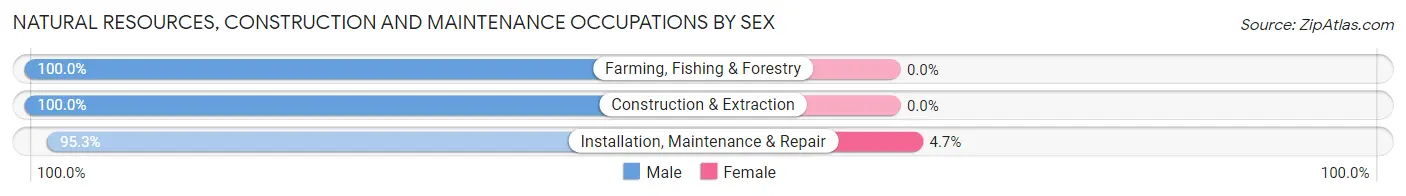 Natural Resources, Construction and Maintenance Occupations by Sex in Zip Code 10710