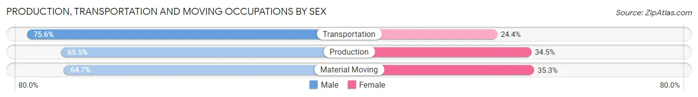 Production, Transportation and Moving Occupations by Sex in Zip Code 10901