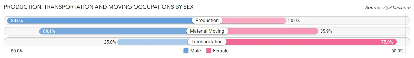 Production, Transportation and Moving Occupations by Sex in Zip Code 10921