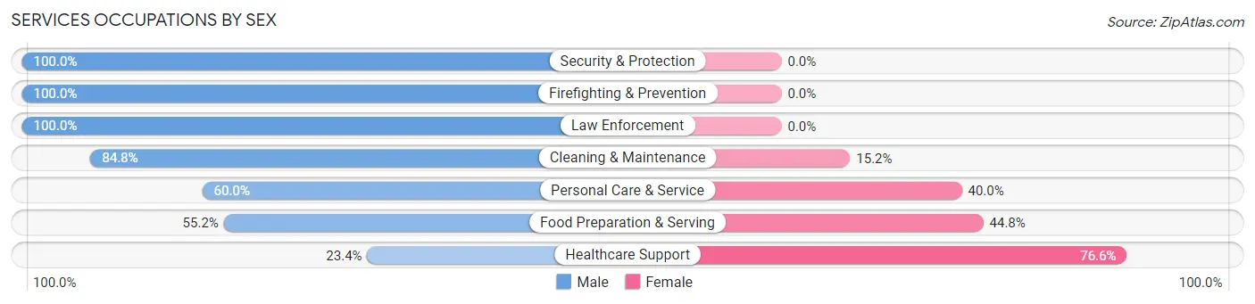 Services Occupations by Sex in Zip Code 10923