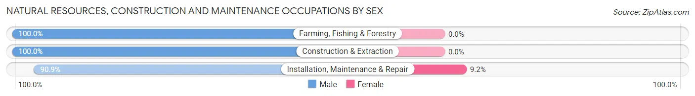 Natural Resources, Construction and Maintenance Occupations by Sex in Zip Code 10927