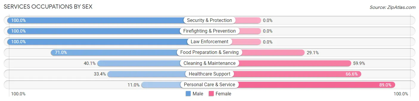 Services Occupations by Sex in Zip Code 10952