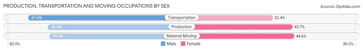 Production, Transportation and Moving Occupations by Sex in Zip Code 10958