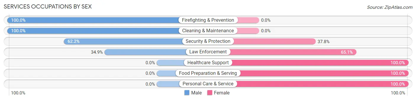 Services Occupations by Sex in Zip Code 10958