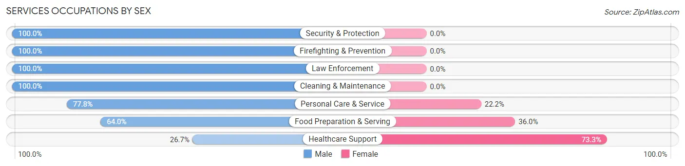 Services Occupations by Sex in Zip Code 10983