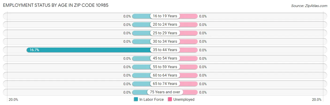 Employment Status by Age in Zip Code 10985