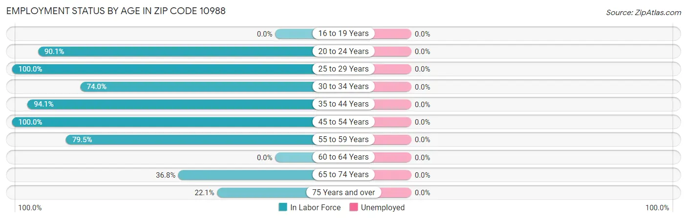 Employment Status by Age in Zip Code 10988