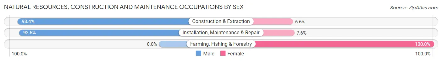 Natural Resources, Construction and Maintenance Occupations by Sex in Zip Code 11003
