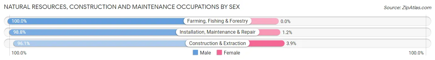 Natural Resources, Construction and Maintenance Occupations by Sex in Zip Code 11105