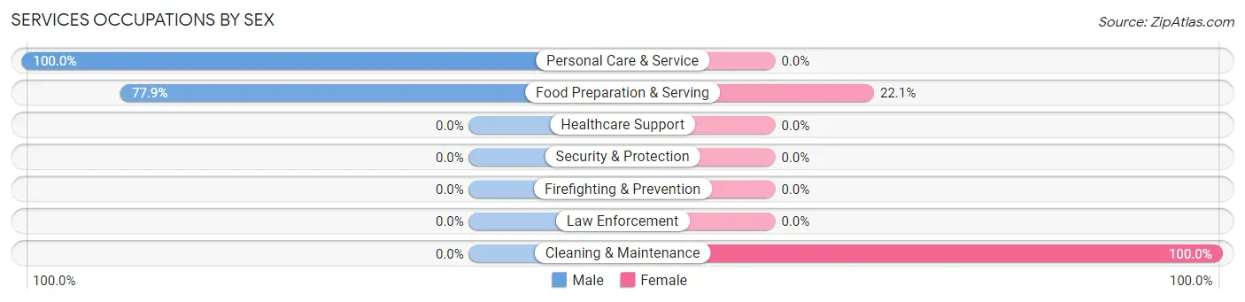 Services Occupations by Sex in Zip Code 11109