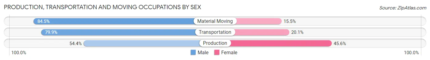 Production, Transportation and Moving Occupations by Sex in Zip Code 11201