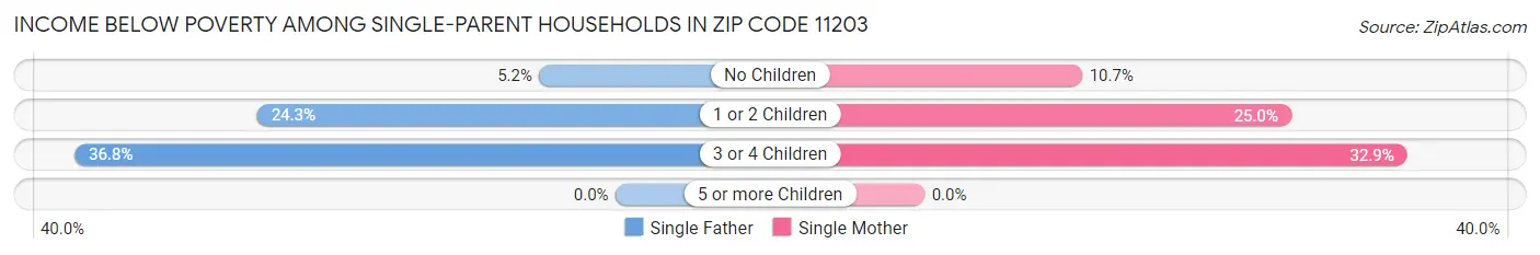 Income Below Poverty Among Single-Parent Households in Zip Code 11203