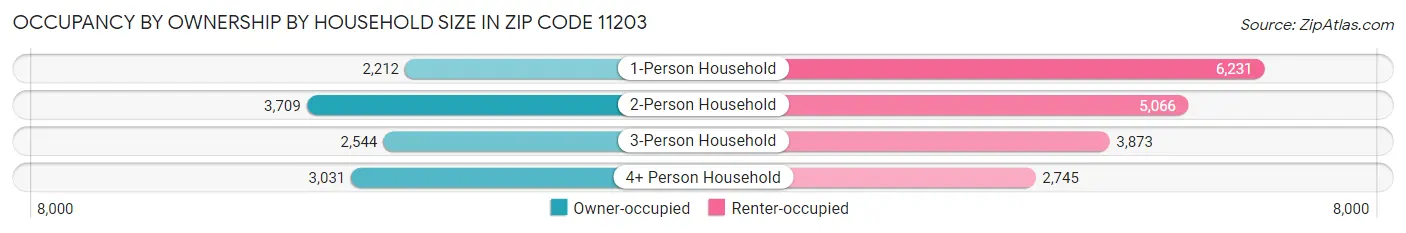 Occupancy by Ownership by Household Size in Zip Code 11203