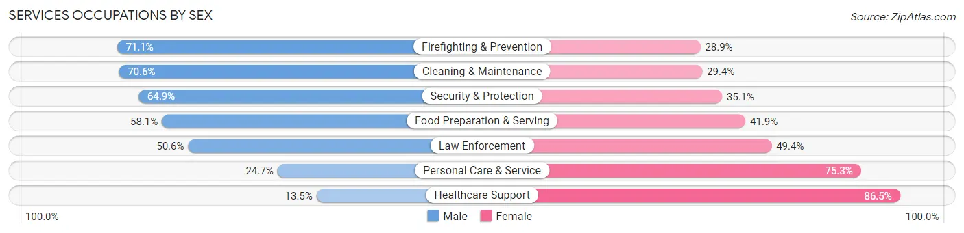 Services Occupations by Sex in Zip Code 11203
