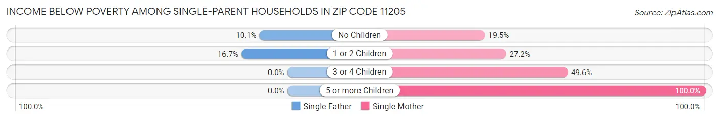Income Below Poverty Among Single-Parent Households in Zip Code 11205