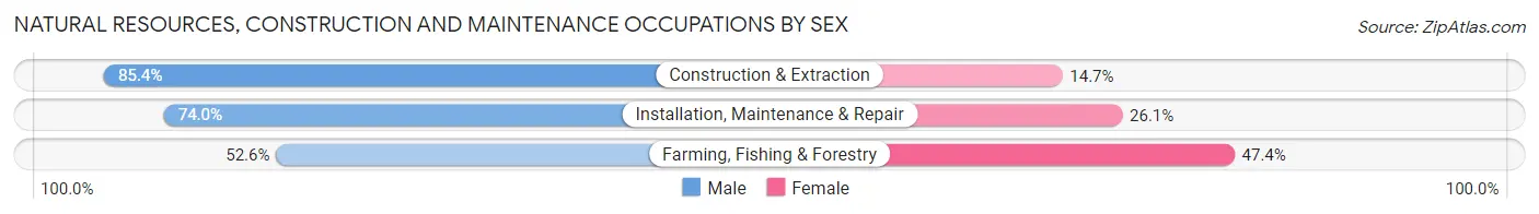 Natural Resources, Construction and Maintenance Occupations by Sex in Zip Code 11217
