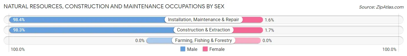 Natural Resources, Construction and Maintenance Occupations by Sex in Zip Code 11218
