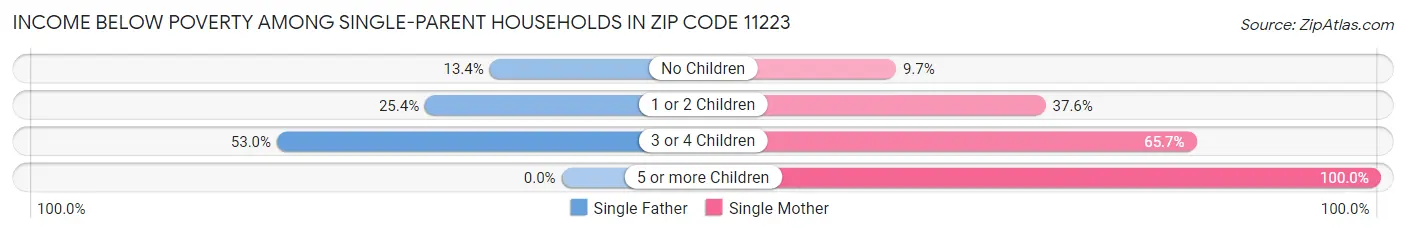 Income Below Poverty Among Single-Parent Households in Zip Code 11223