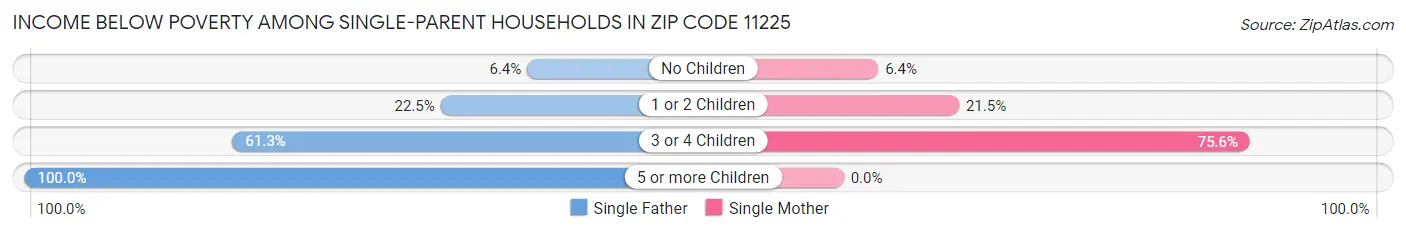 Income Below Poverty Among Single-Parent Households in Zip Code 11225